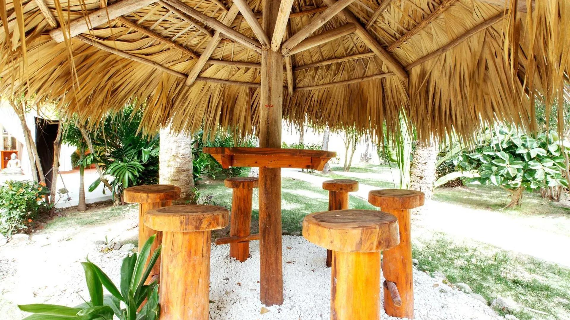 Grand Caribe Suites Playa Los Corales Punta Cana Hotel