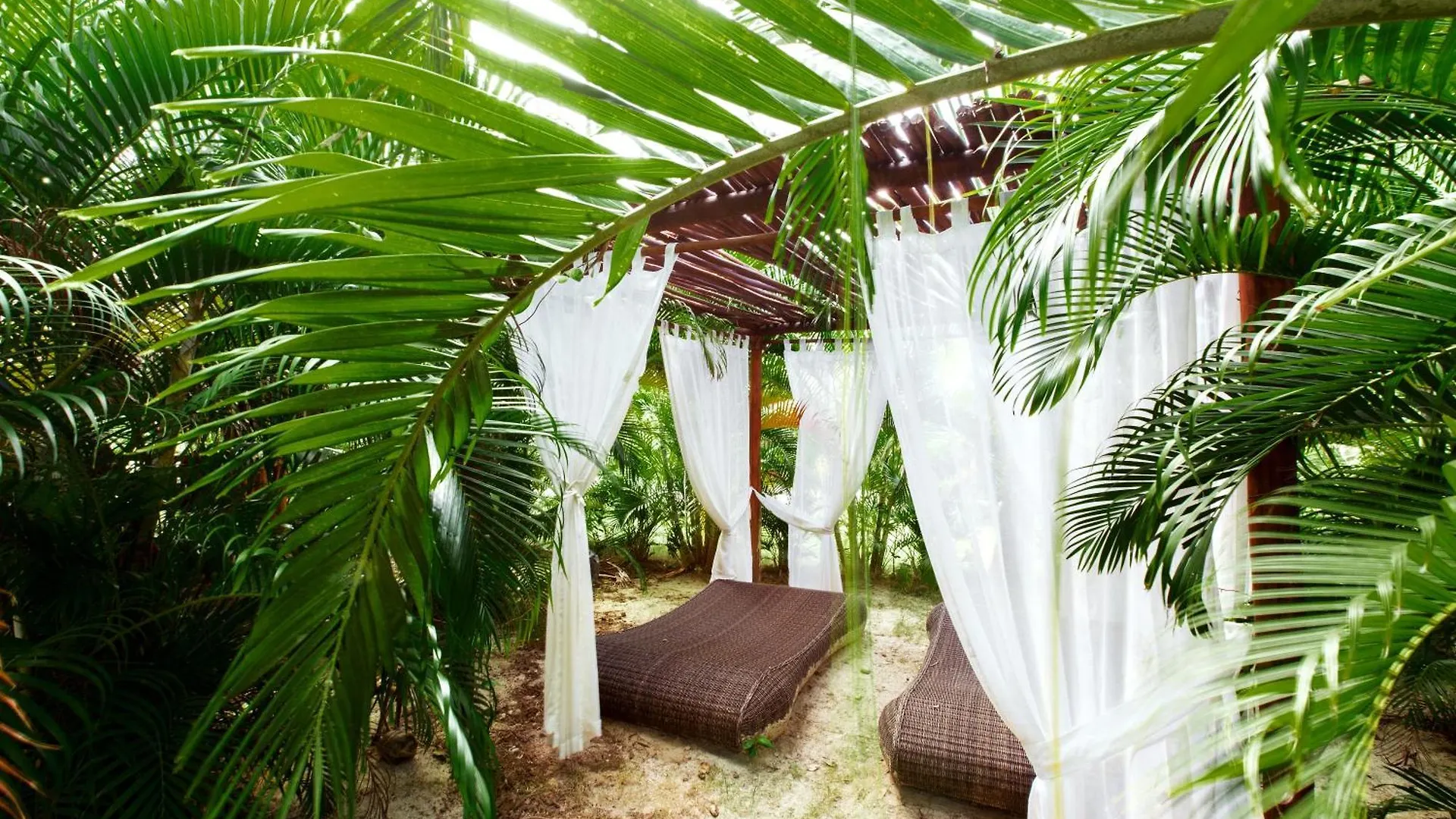 Grand Caribe Suites Playa Los Corales Punta Cana Hotel